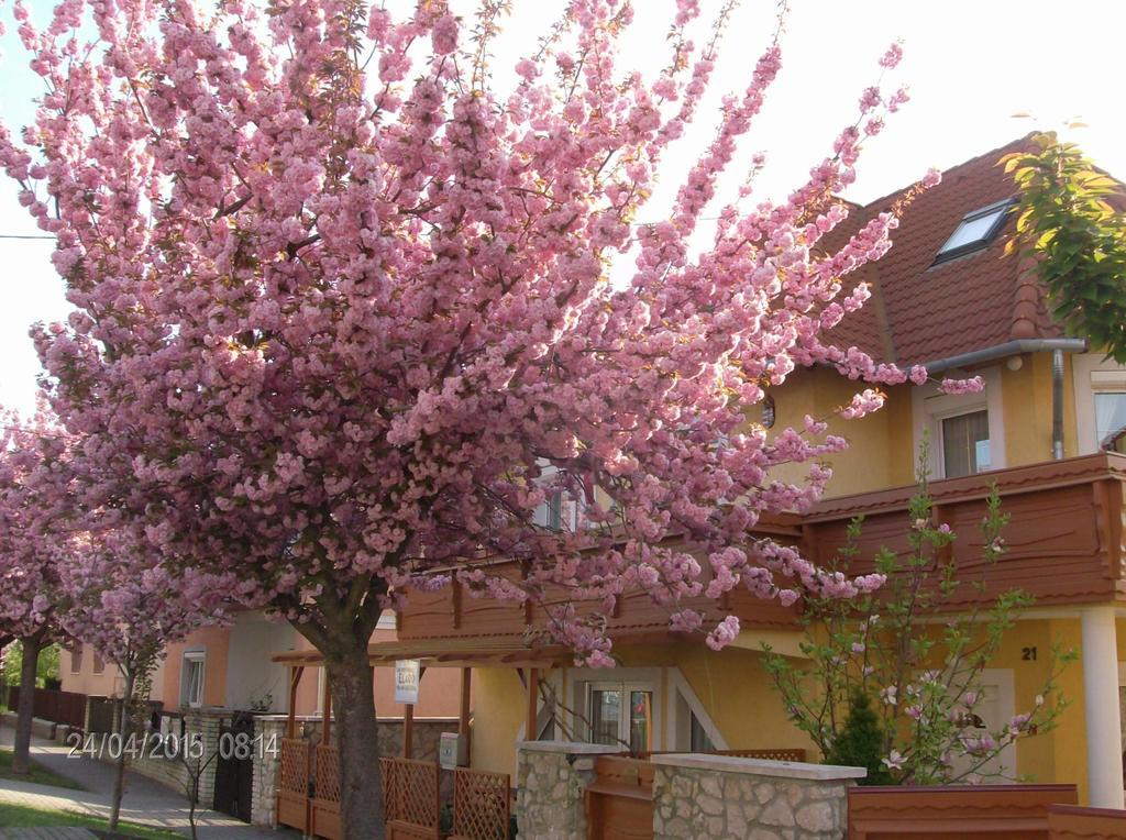 Zsuzsanna Haz Hotel เฮวิซ ภายนอก รูปภาพ